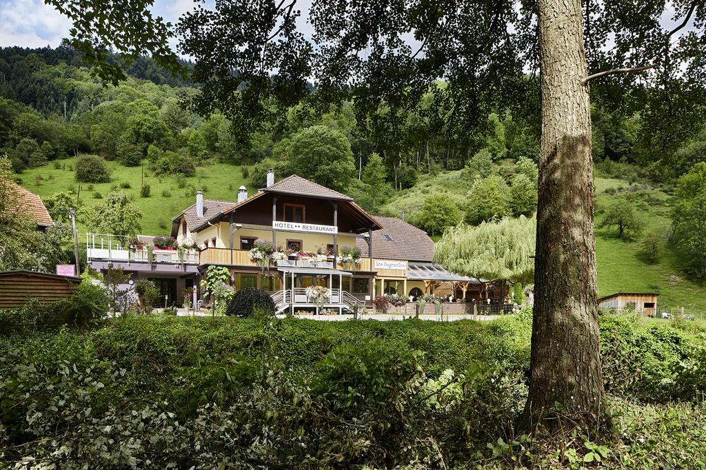 Hostellerie Les Bagenelles サント・マリー・オー・ミーヌ エクステリア 写真